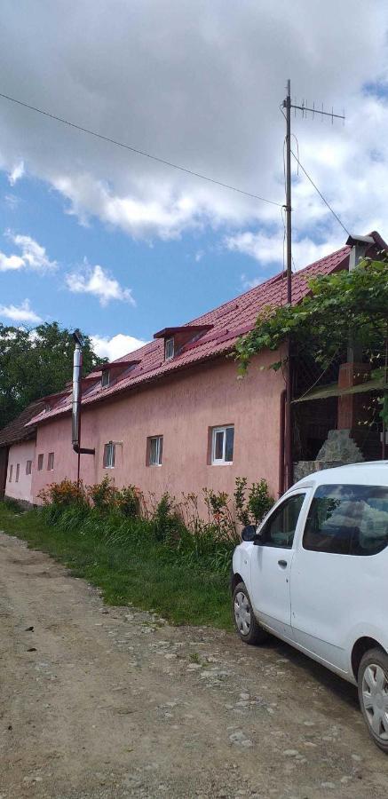 Casa Boierului Imbri Villa Cartisoara Exterior photo