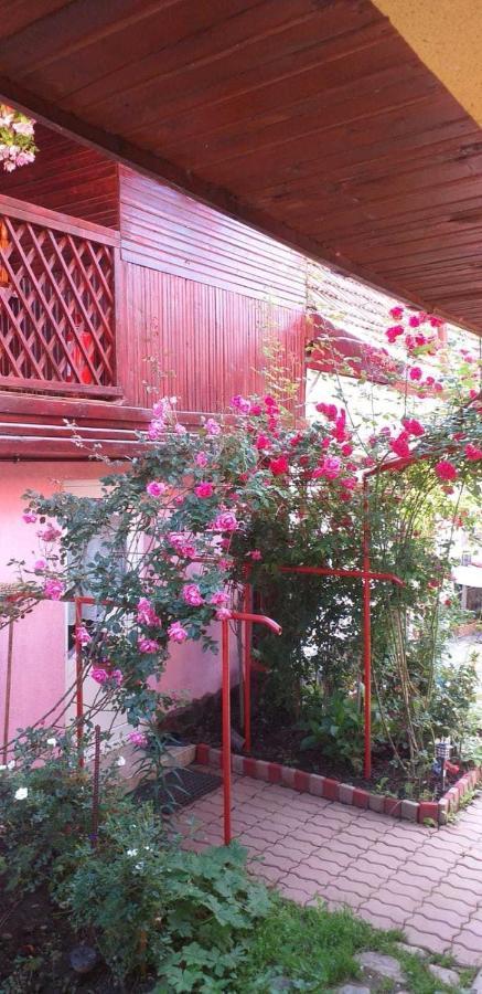 Casa Boierului Imbri Villa Cartisoara Exterior photo